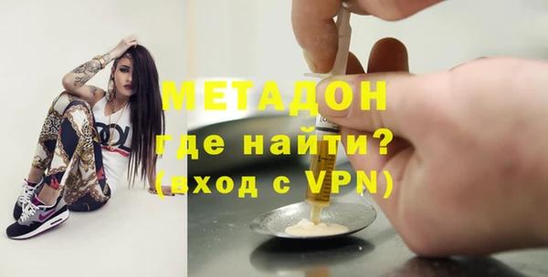 шишки Сосновый Бор